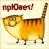 M@R'k