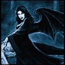 ׸���� �����