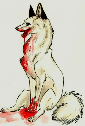 Kira