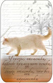 ˸�