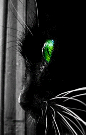 �����