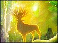 Rudolf