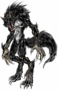 GoldenWerewolf