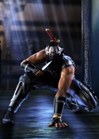 Ninja Gaiden