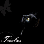 Tenebris