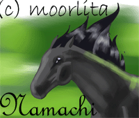 namachi