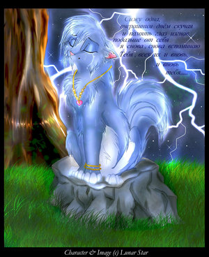 ����� ������