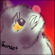 .SunsetStar.