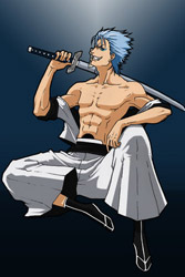 Grimmjow Jeagerjaques