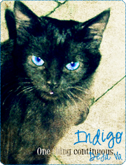 Indigo