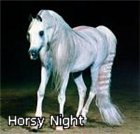 ~Horsy Night~