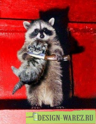 �������