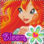 Bloom
