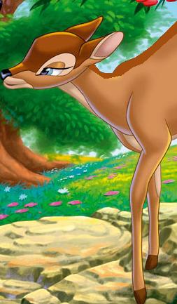 ��� ���� ������