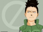 Shikamaru Nara