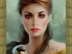 ��������