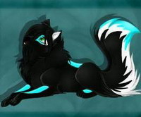 Black Moon