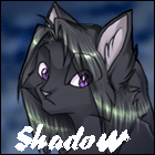 Shadow