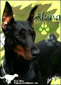 Aluna