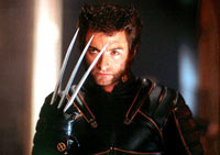 Wolverine