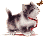 ¢©(Ли®3о4КА♥♥)♀™
