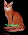 Листвичка Листвичка