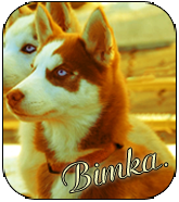 Bimka