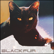 Blackfur