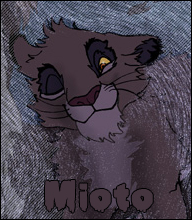 Mioto