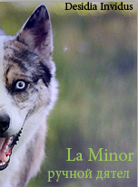 `la minor