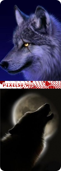 Wolf