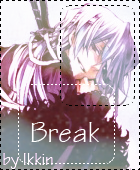 Xarxes Break