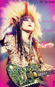 Hide