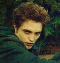 Ed cullen