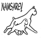 Namsarey