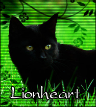 Lionheart.