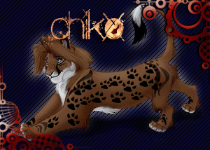 .chiko