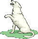 �����