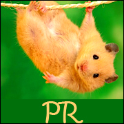 PR