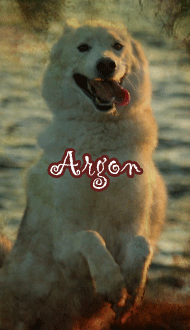 Argon