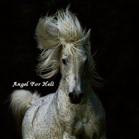Angel For Hell