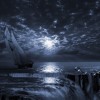 [.ADM.]MoonLight