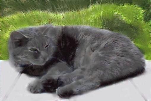 ��������� ������