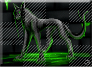 HellHound