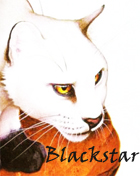 Blackstar