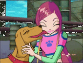 �����-roxy