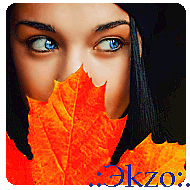 .:Эkzo:.