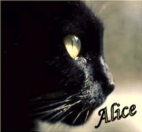 Alice