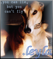 .leyla