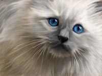 ����